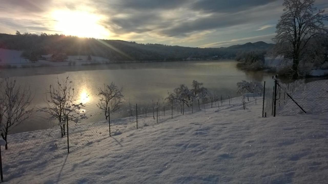 Kuca Za Odmor Jezero Βίλα Ogulin Εξωτερικό φωτογραφία